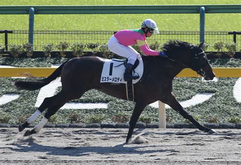 ＜東京5r新馬戦＞戸崎を背に初陣を制したミスターメロディ ― スポニチ Sponichi Annex ギャンブル