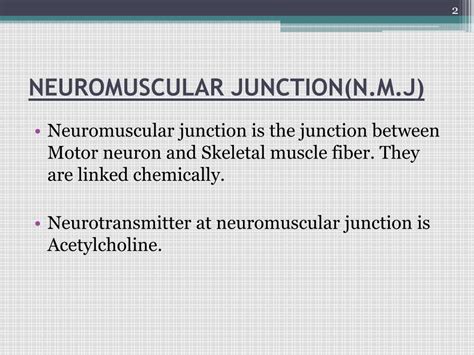 Ppt Neuromuscular Junction Powerpoint Presentation Free Download