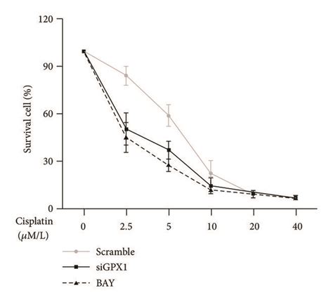 Bay 11 7082 A Nf κb Inhibitor Downregulated Intracellular Ros And