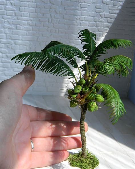 Miniature Palm Trees Miniature Plants Christmas Crib Ideas Tropical