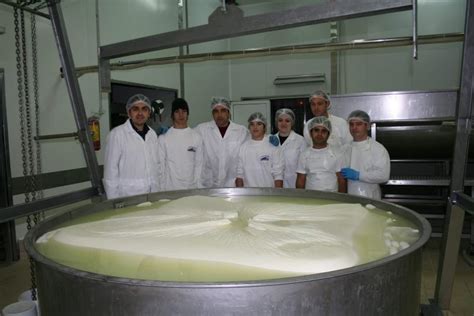 Guinness Book of World Records Features Greek Caprine Cheese - GreekReporter.com