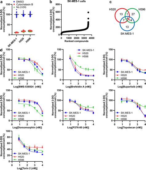 A High Throughput Screen Identifies Small Molecule Inhibitors Of