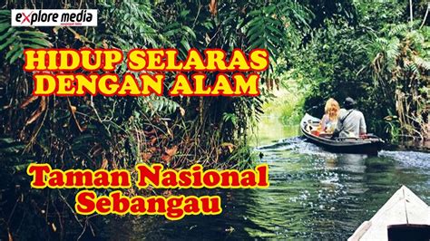 Hidup Selaras Dengan Alam Taman Nasional Sebangau YouTube