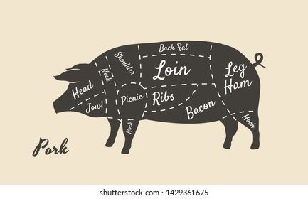 Butcher Cut Main Cuts Pork Stock Vector Royalty Free