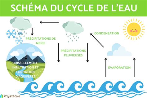 Le Cycle De L Eau Pour Ce En Primaire Sch Ma Et Tapes