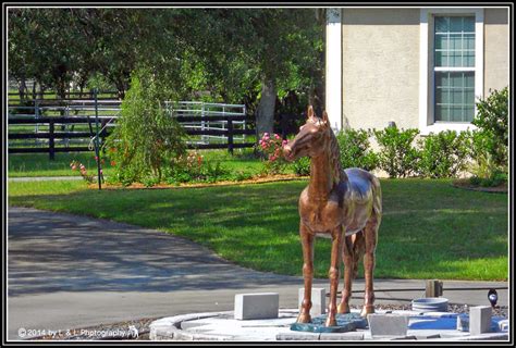 Ocala, Central Florida & Beyond: Ocala horse statues