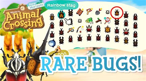 What Is The Rarest Bug In Animal Crossing New Horizons At Mark Villa Blog