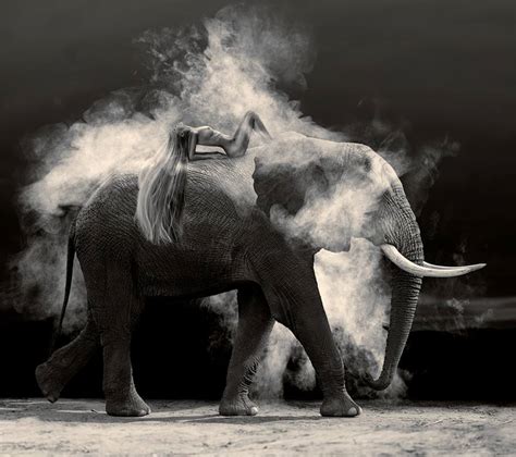 Nude Elephant Dust Limited Edition Of Photography By Cheraine Collette Saatchi Art