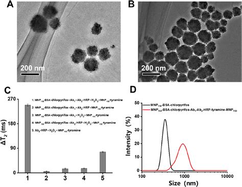 Enhanced Magnetic Relaxation Switching Immunoassay For Chlorpyrifos