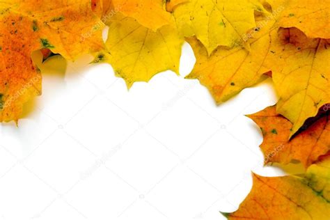 Canadian maple leaves — Stock Photo © Paulpaladin #33281251