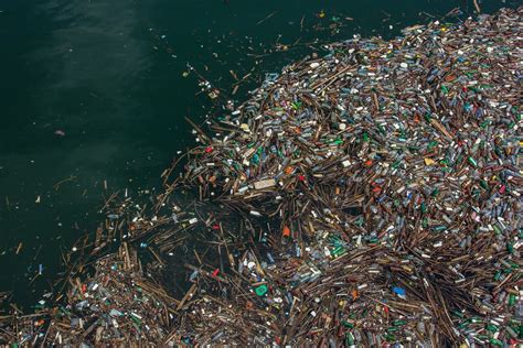 Plama Plastiku Na Pacyfiku Gwa Townie Ro Nie Badania S Niepokoj Ce