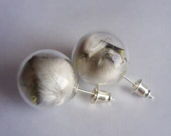 Unique Pussy Willow Branch Related Items Etsy