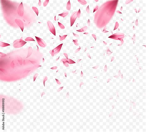 Pink sakura falling petals background. Vector illustration Stock Vector | Adobe Stock