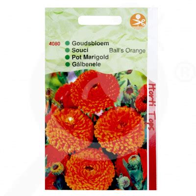 Ringelblume Calendula Officinalis Kugeln Orange G Saatgut