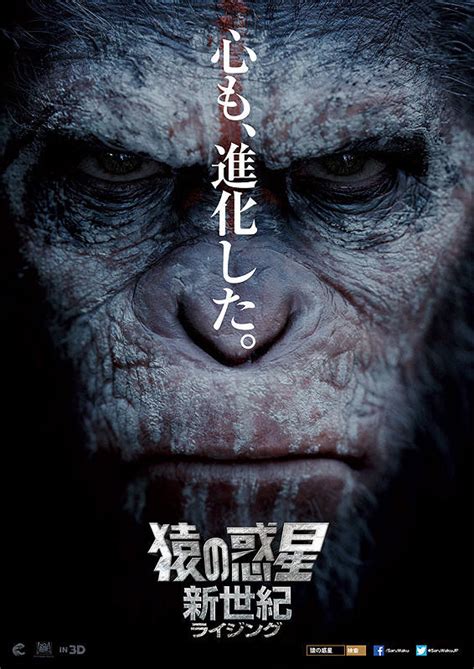 Dawn Of The Planet Of The Apes Poster 8 金海报 Goldposter