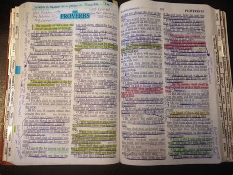 The Book Of Instructions For Life Bible Study Scripture Inductive