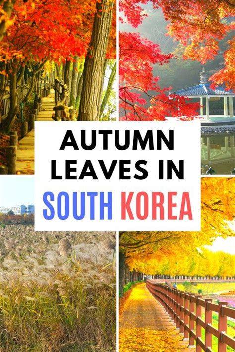 Where To See Autumn Leaves In Korea 2023 Best Fall Foliage Artofit