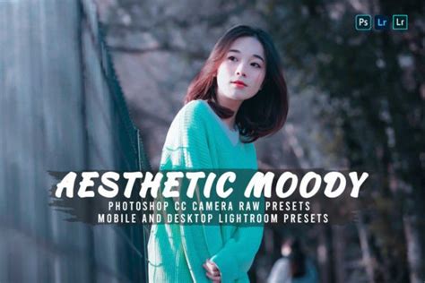 Aesthetic Moody Presets Graphic By Zhidayat Creative Fabrica