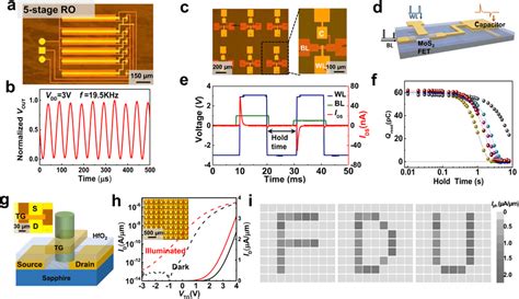 Analog Memory And Optoelectronic Circuits Based On MoS2 TG FETs A Is