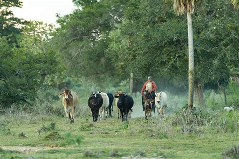 Beni El Cambio De Uso De Suelo Que Quiere Llevar Al Departamento A La