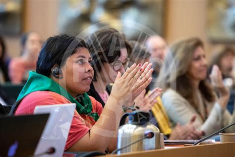 FAO Digital Media Hub Italy 2019 Civil Society And Indigenous