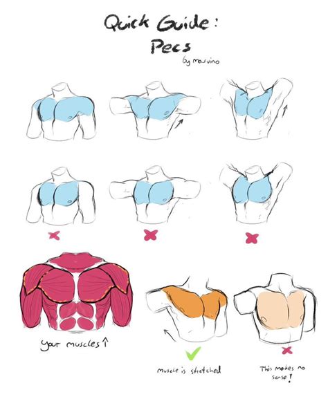 Masvino🏳️‍🌈 On Twitter Body Drawing Tutorial Drawing Tutorial Human