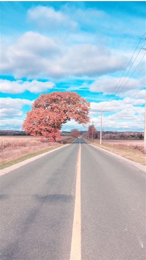 Drumbo/Ontario/Canada/November 7th 2017 : r/pics