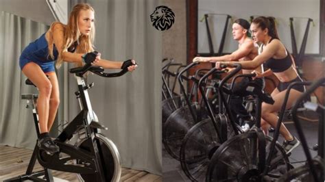 Stationary Bike Angry Lion Fitness