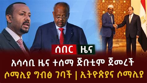 ሰበር ዜና አሳሳቢ ዜና ተሰማ ጅቡቲም ጀመረች ሶማሊያ ግብፅ ገባች ኢትዮጵያና ሶማሊያ YouTube