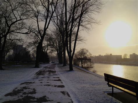 Free Images Tree Snow Winter Fog Sunrise Sunset Mist Sunlight