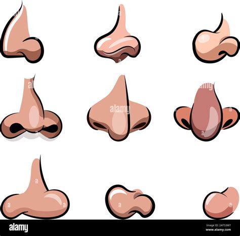 Vector Nose Cartoon Set Variety Of Noses For Cartoon Character