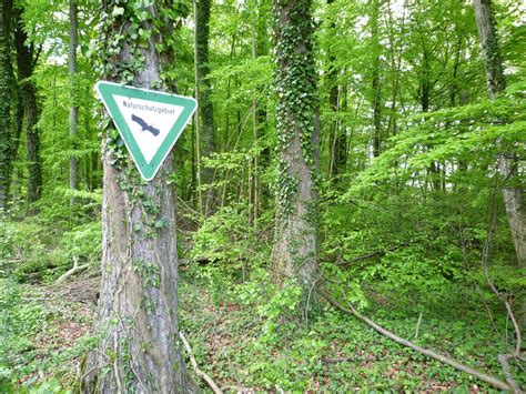 Seeholz | Birdingplaces