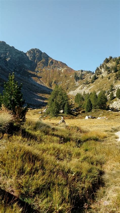 Rena Monte Dalla Strada Per Wiessmatten Escursionismo Camminata A