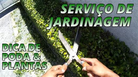 Serviço de jardinagem dica de poda e plantas parte 4 Serviços de