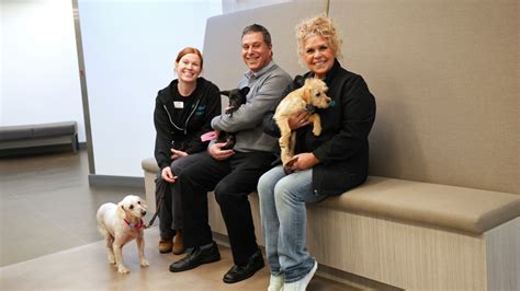 San Diego Humane Society opens redesigned Adoptions Center in San Diego ...