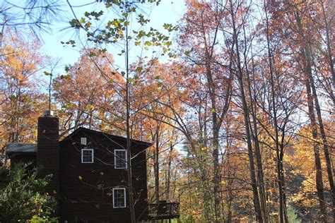 Amicalola Falls Cabin Rentals | Cabins and More | Airbnb