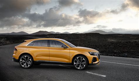 Photo 1 Audi Q8 Sport Concept Gamme Audi Rs Trois Suv Au Programme