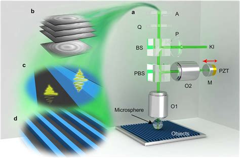 White Light Interferometer Principle Shelly Lighting