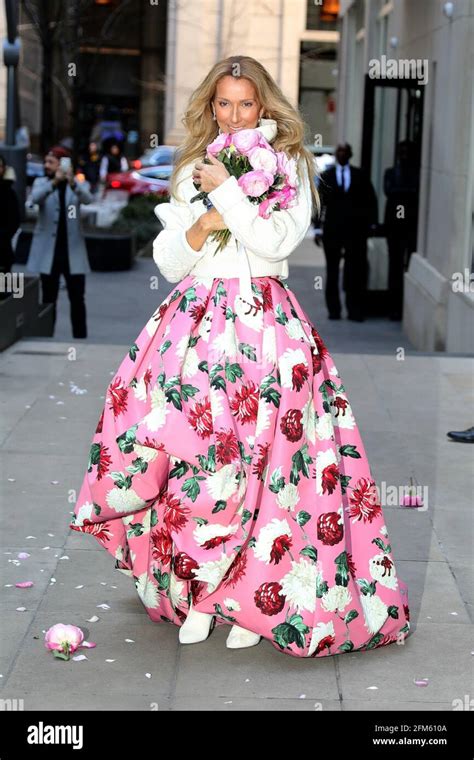 New York - NY - 20200308 Celine Dion looks stunning in an 'Oscar De La Renta' floral dress as ...