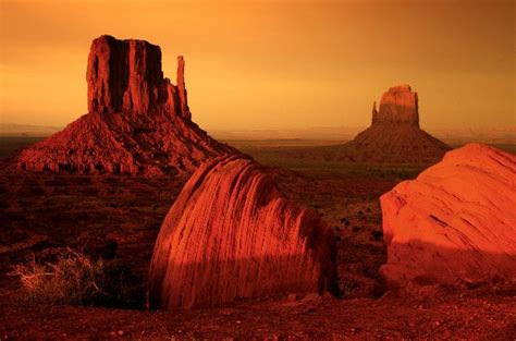 Desert Biome Landscape - Animal Facts and Information