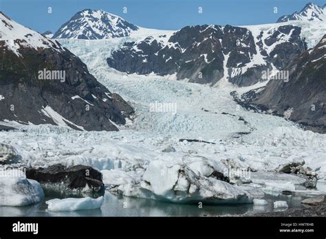 Pedersen Glacier in Kenai Fjords National Park, Alaska Stock Photo - Alamy