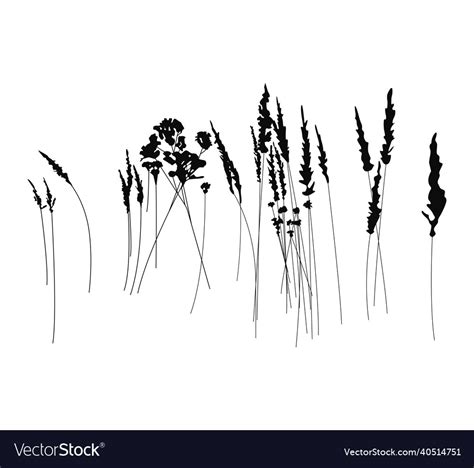 Black Silhouettes Of Blades Of Grass To Create Vector Image