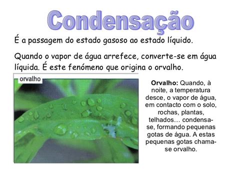 O Que E Condensação - CondensaçãO,SolidificaçãO,PrecipitaçãO