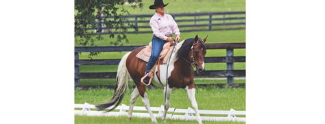 Western Dressage Tips - - The Northwest Horse Source