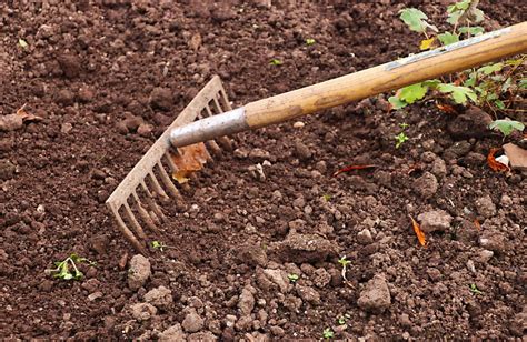 Comment préparer le sol avant le semis Mondo Jardin