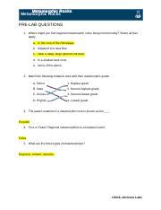 Understanding Metamorphic Rocks Pre Lab Exercise Data And Course Hero