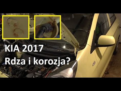 Kia Picanto Czy Jest Ocynk Czy Jest Rdza I Korozja Zobacz