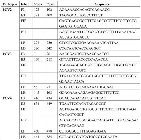 猪圆环病毒2型、3型、4型现场快速高灵敏鉴别诊断试剂盒及其使用方法