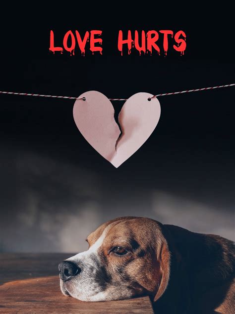 Download No Love Puppy And Broken Heart Wallpaper