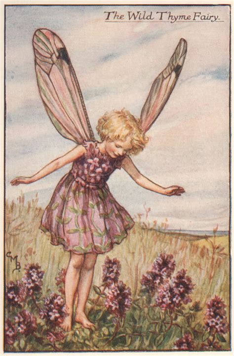 Forget Me Not Fairy By Cicely Mary Barker Summer Flower Fairies C1935